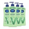 20.3 Fl Oz (Pack of 4)