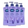 20.3 Fl Oz (Pack of 4)